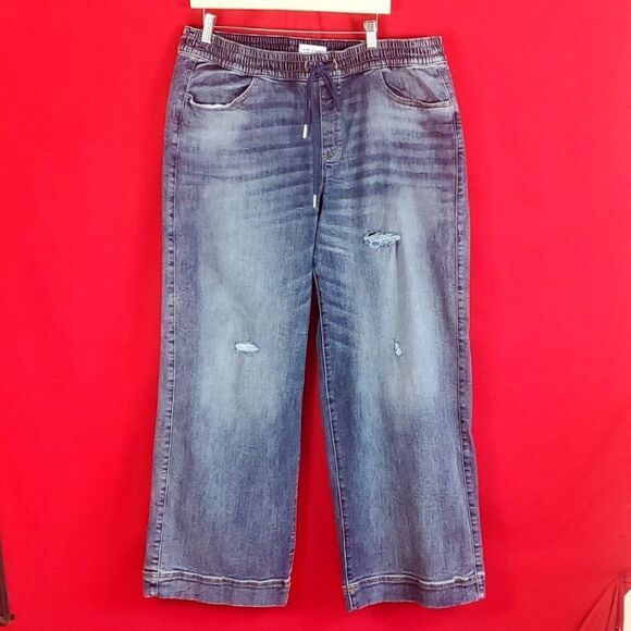 LANE BRYANT Pull-On High-Rise Cozy Wide Leg Jean - Medium Wash Size 16 - Picture 2 of 9